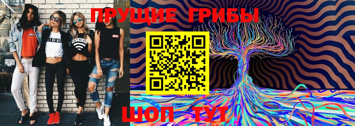 Галлюциногенные грибы MAGIC MUSHROOMS  Жигулёвск  Псилоцибиновые грибы Cubensis 