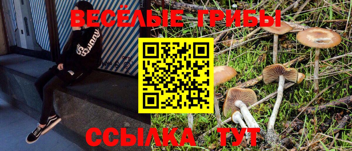 Жигулёвск  Псилоцибиновые грибы мицелий  Вход с VPN 
